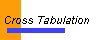  Cross Tabulation 