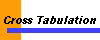  Cross Tabulation 