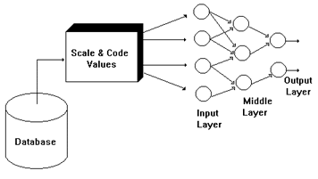 Neural Nets