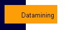  Datamining 