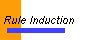  Rule Induction 